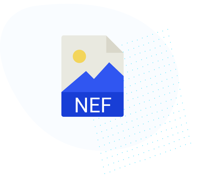 what is nef file